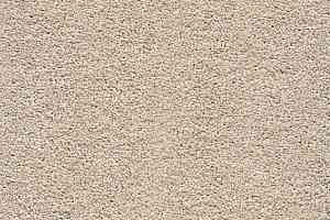 Ковролин AW Vivendi Punch 33 фото  | FLOORDEALER